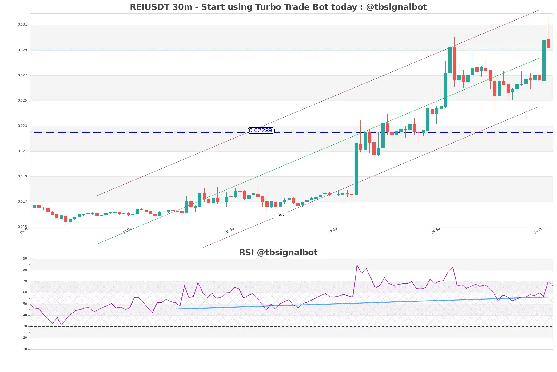 REIUSDT 30m REIUSDT_30m